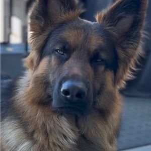 Meet your Posher, Leslie